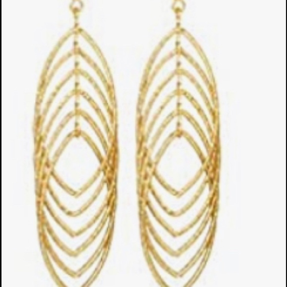 Woman’s Dangle Earrings